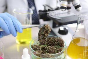 PJC - Cannabis Laboratory Certification